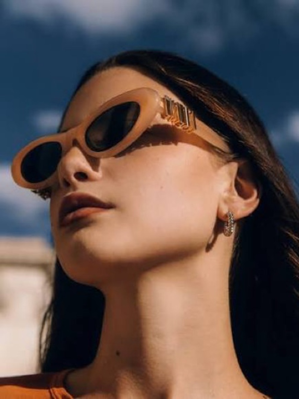LOEWE Brown Cat Eye Unisex Sunglasses LW40156U